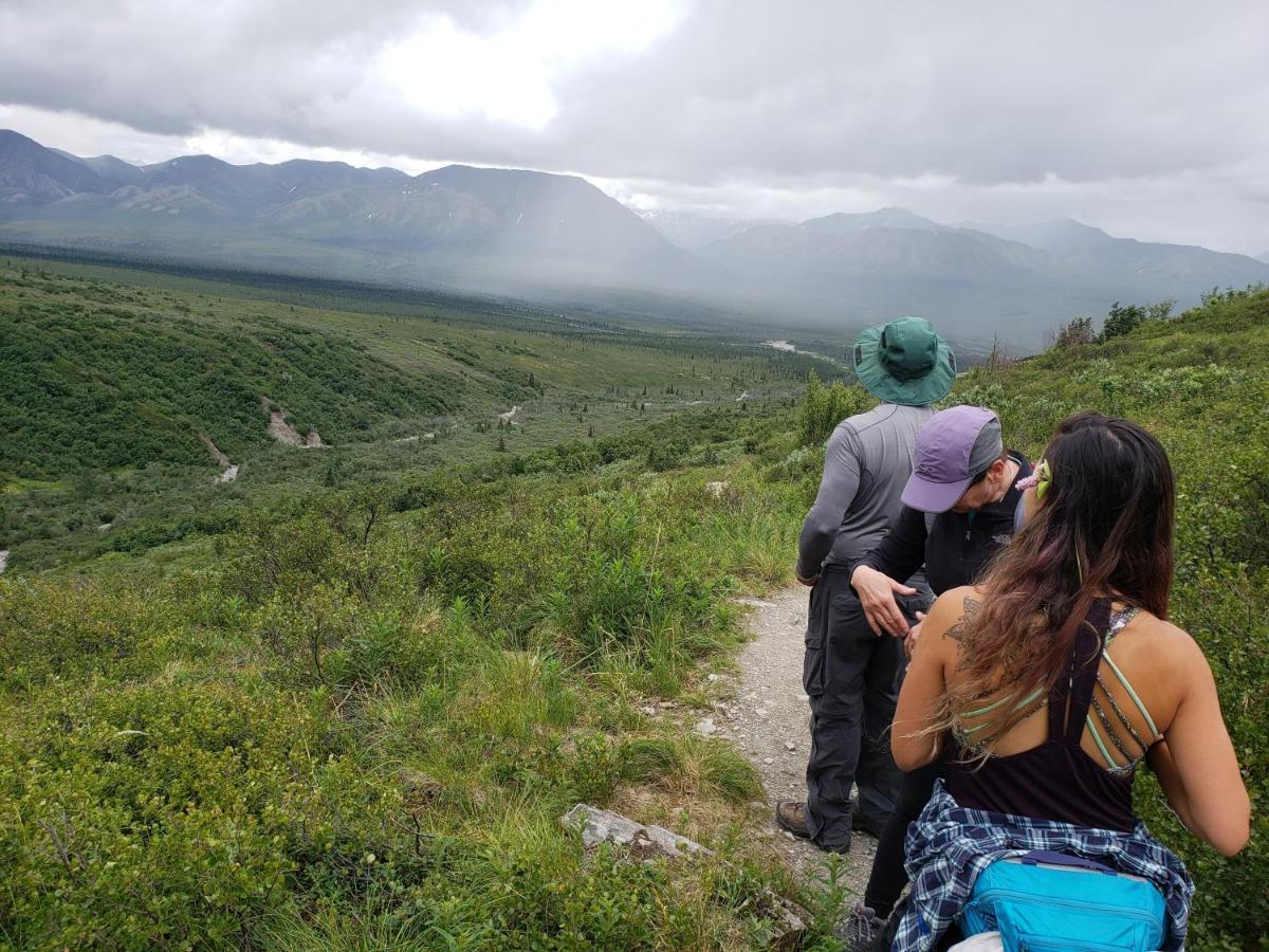 Denali Wild Stay - Moose Cabin, Free Wifi, 2 Private Bedrooms, Sleep 6 Healy Exterior photo