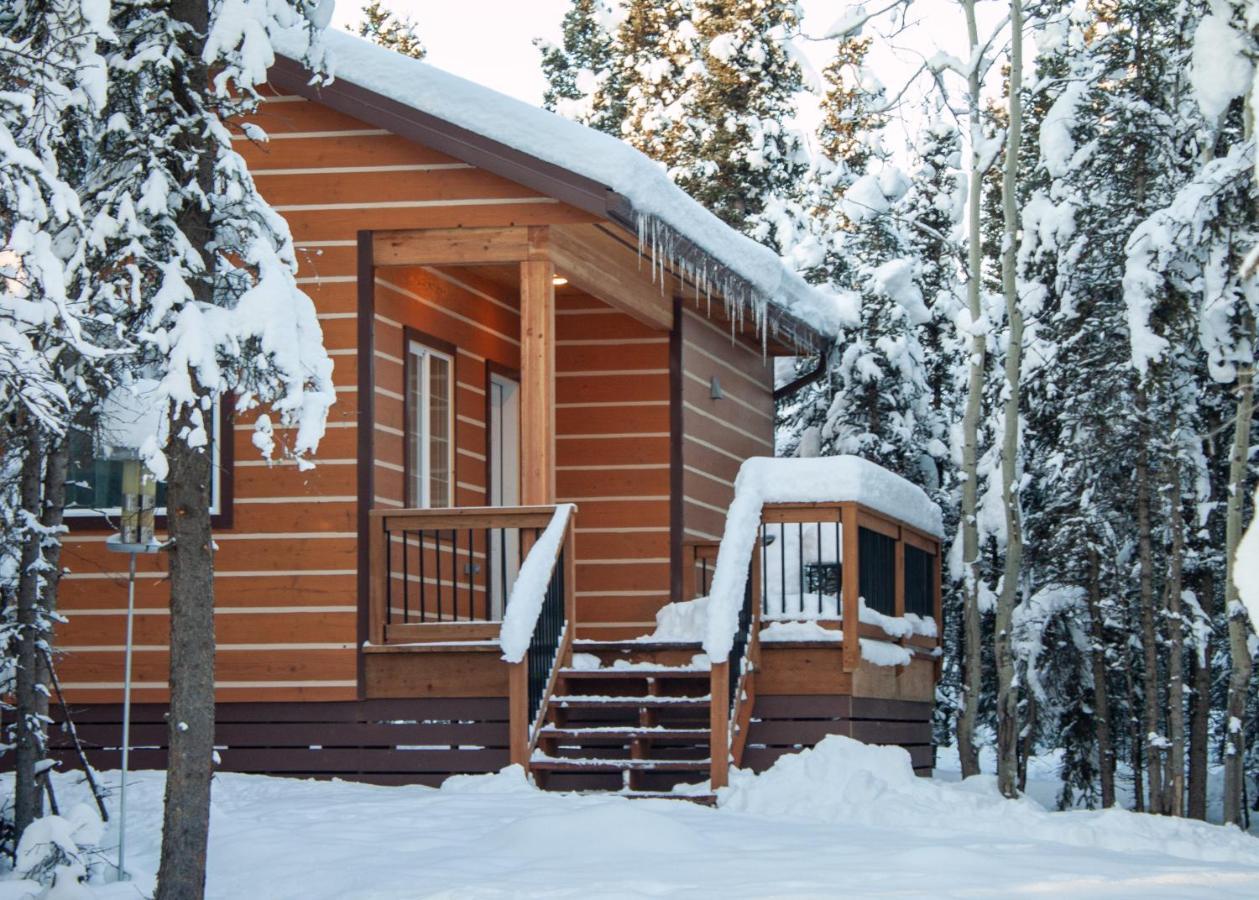 Denali Wild Stay - Moose Cabin, Free Wifi, 2 Private Bedrooms, Sleep 6 Healy Exterior photo