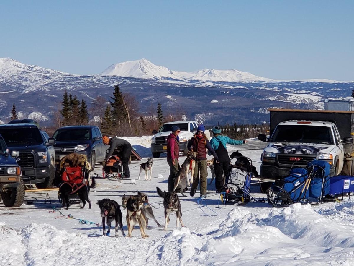 Denali Wild Stay - Moose Cabin, Free Wifi, 2 Private Bedrooms, Sleep 6 Healy Exterior photo