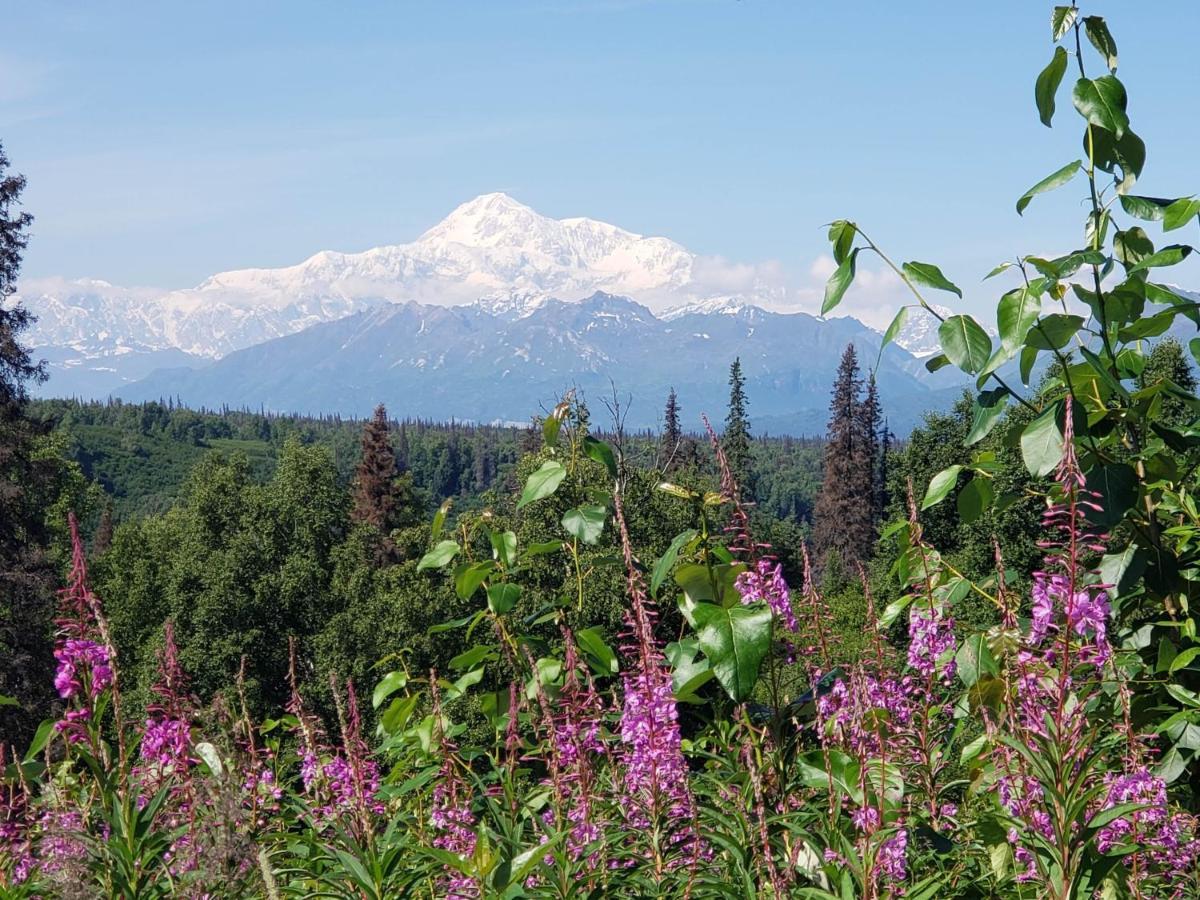 Denali Wild Stay - Moose Cabin, Free Wifi, 2 Private Bedrooms, Sleep 6 Healy Exterior photo