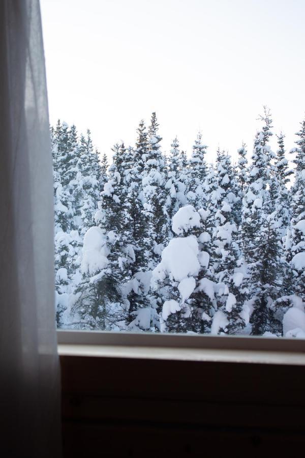 Denali Wild Stay - Moose Cabin, Free Wifi, 2 Private Bedrooms, Sleep 6 Healy Exterior photo