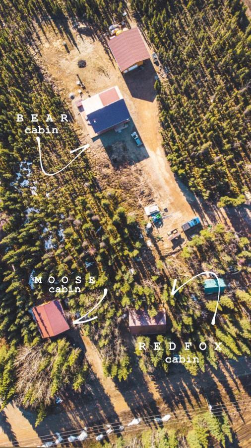 Denali Wild Stay - Moose Cabin, Free Wifi, 2 Private Bedrooms, Sleep 6 Healy Exterior photo